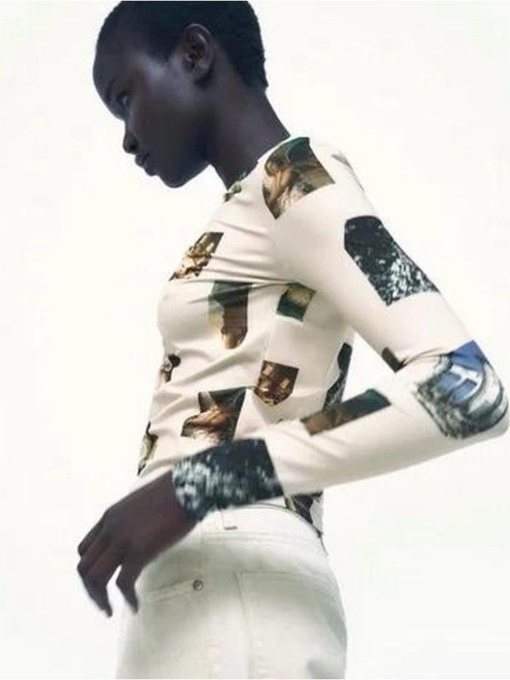 Zara Apotheosis of Homer 1827 Long Sleeve Top Size L 🖼️